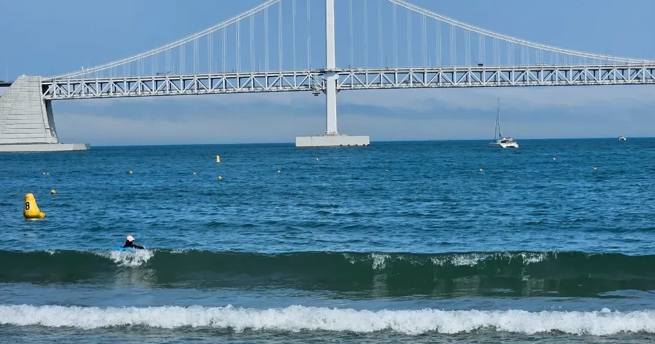 Santa Cruz Beach Guide: Best Spots to Swim, Surf & Unwind