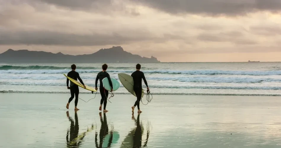 Top Things to Do in Santa Cruz: Beaches, Boardwalks & Hidden Gems